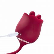 Rosa - Vibromasseur Rotatif - Va et Vient – Image 5