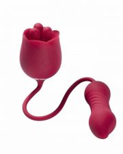 Rosa – Vibromasseur Rotatif – Va et Vient