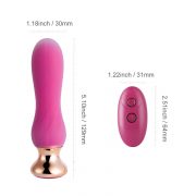 Pink holic - Plug anal vibrant télécommandé incurvé - Rose – Image 2